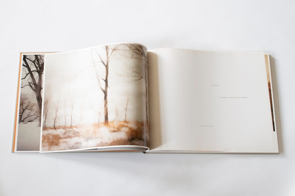 Todd Hido - Excerpts from Silver Meadows - 2013 #1.0