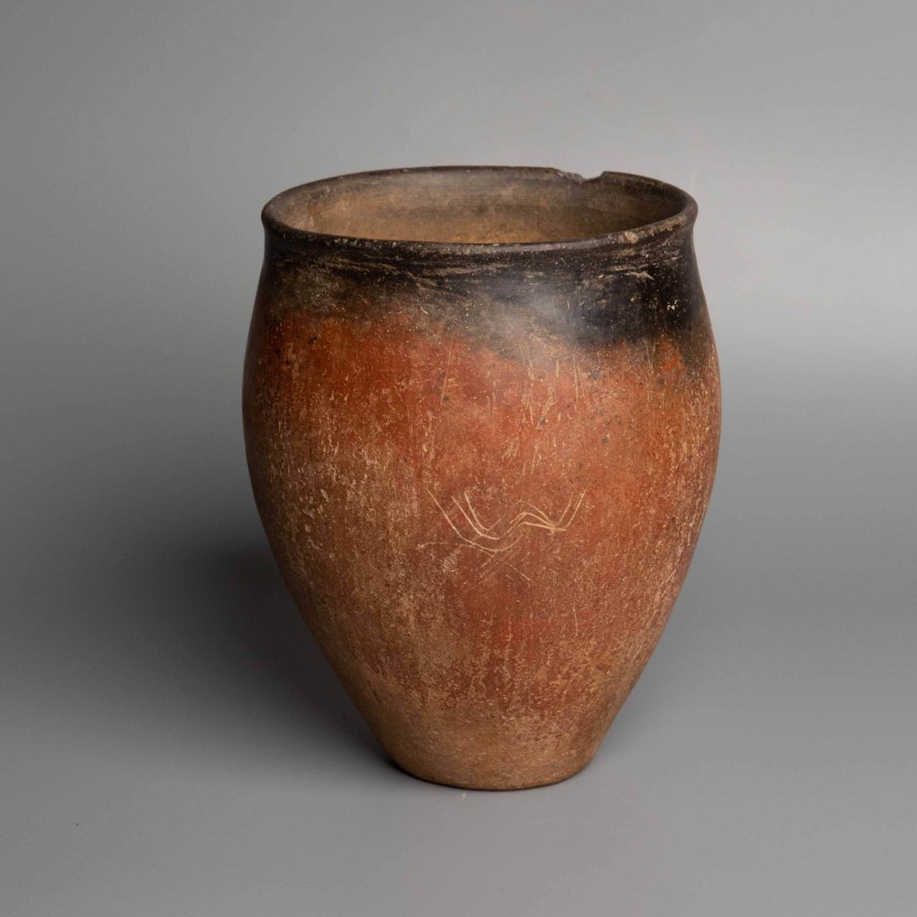 古埃及 陶瓷 带标记（水）的黑顶花瓶。，Naqada I，公元前 4000 - 3500 年。 19 厘米高。 #1.1