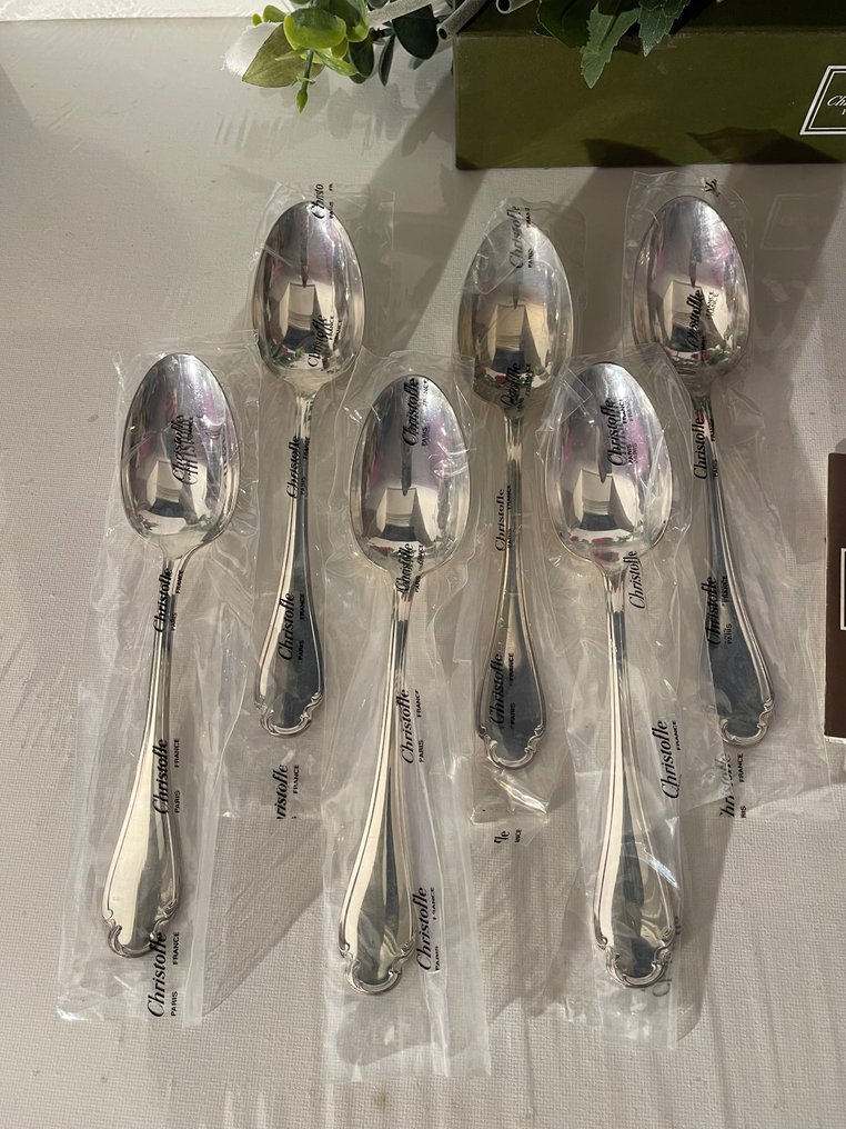 Christofle - Spoon - Set of 12 Pompadour model tablespoons in blister packaging. - Silver metal #1.0