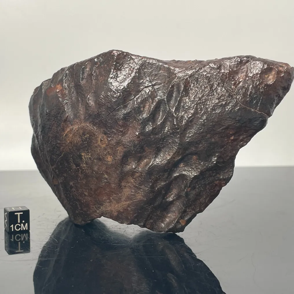 Favolosa meteorite con profonde regmaglepi scanalate Condrite NWA con crosta di fusione - 820 g #2.1