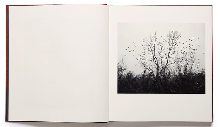 Vanessa Winship - She dances on Jackson - 2013 #2.1