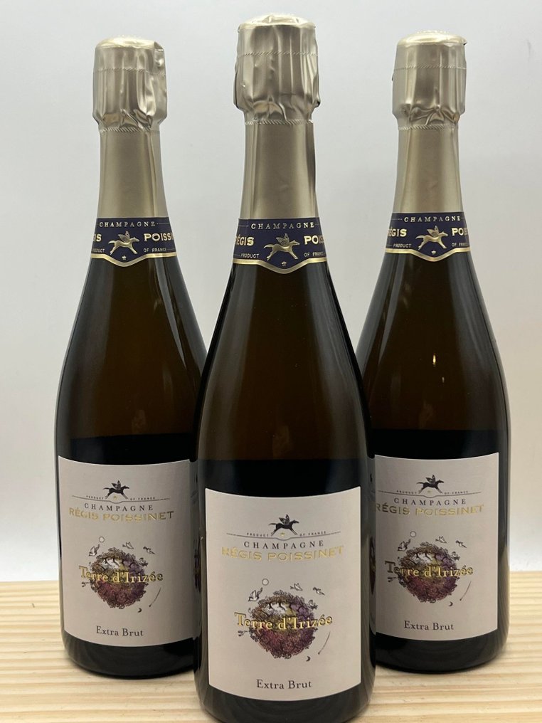 Régis Poissinet, Terre d'Irizée - Champagne Extra Brut - 3 Flessen (0.75 liter) #1.1