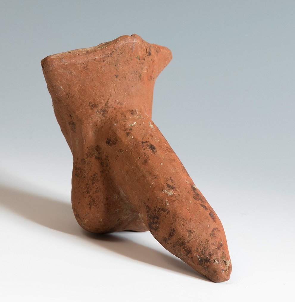 Etruscan Terracotta Votive model of a male reproductive system. 4th - 1st century BC. 15 cm L. Spanish Export License. #1.1