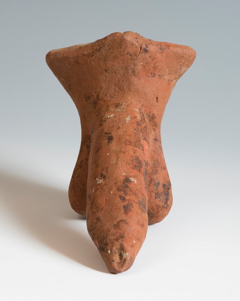 Etrusca Terracota Modelo votivo de um sistema reprodutor masculino. Século 4 a 1 aC. 15 cm L. Licença de Exportação #2.1