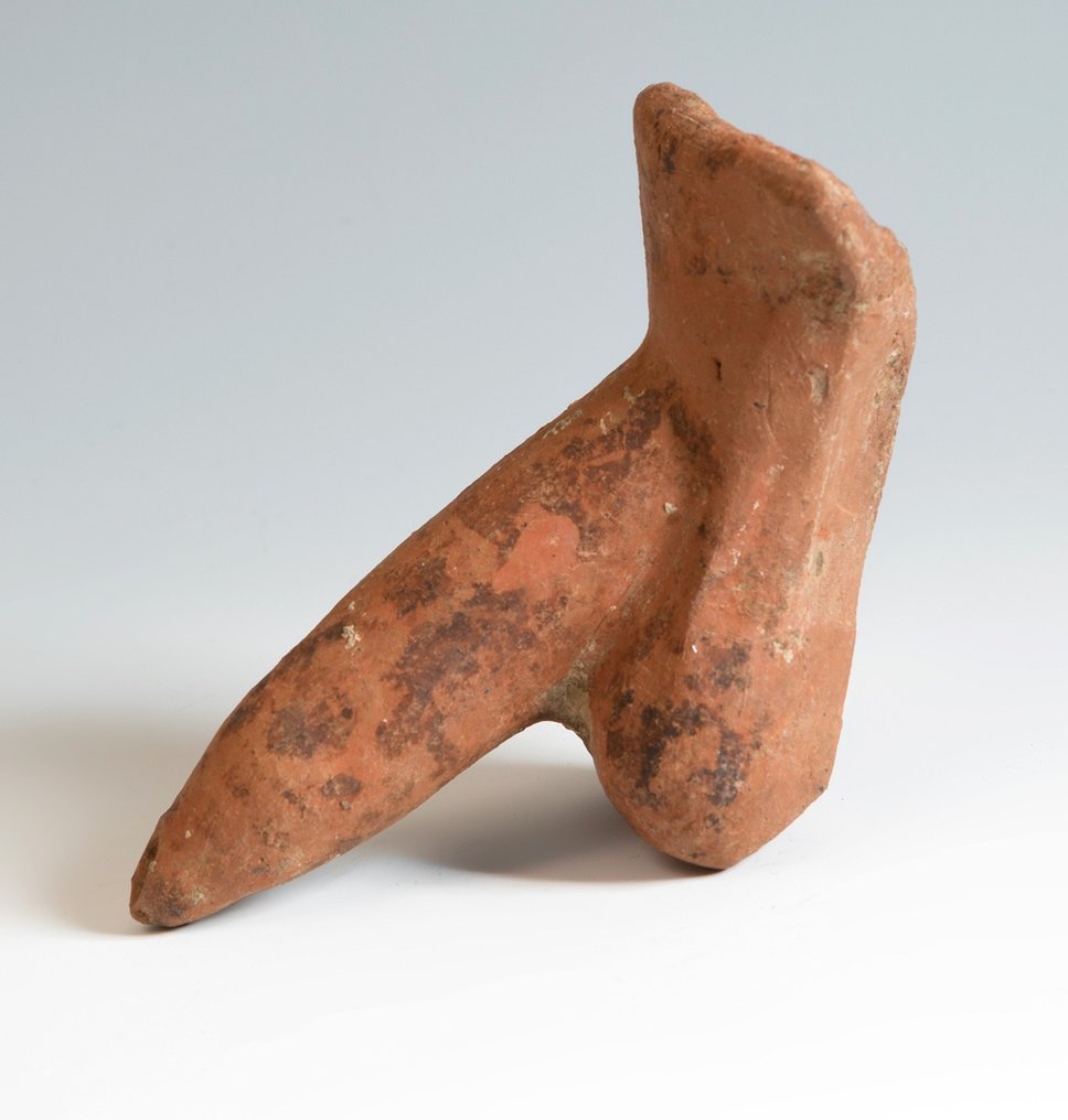 Etruscan Terracotta Votive model of a male reproductive system. 4th - 1st century BC. 15 cm L. Spanish Export License. #1.2
