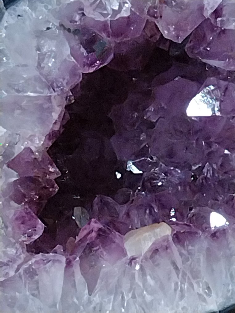 Amethyst Uruguay Dark Purple Geode - Height: 21 cm - Width: 22.5 cm- 7.2 kg #1.2