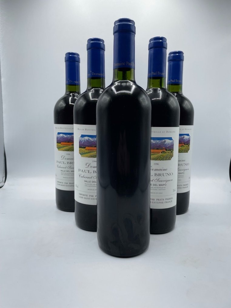 1996 Domaine Paul Bruno, Valle del Maipo - 迈波谷 - 6 Bottles (0.75L) #3.2