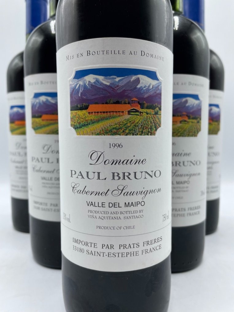 1996 Domaine Paul Bruno, Valle del Maipo - 迈波谷 - 6 Bottles (0.75L) #1.0