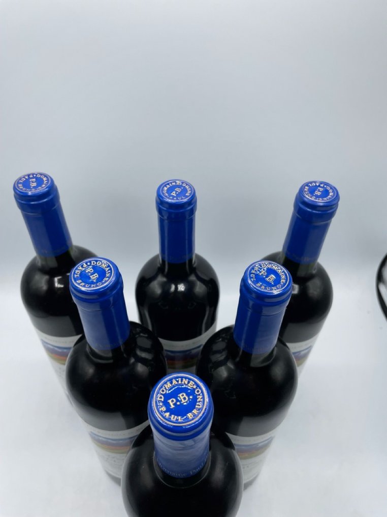 1996 Domaine Paul Bruno, Valle del Maipo - 迈波谷 - 6 Bottles (0.75L) #2.1