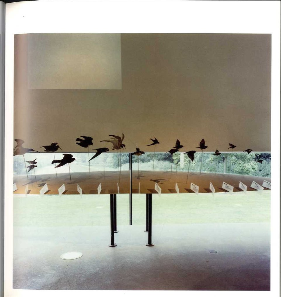 Signed; Candida Höfer - A Monograph - 2003 #4.3