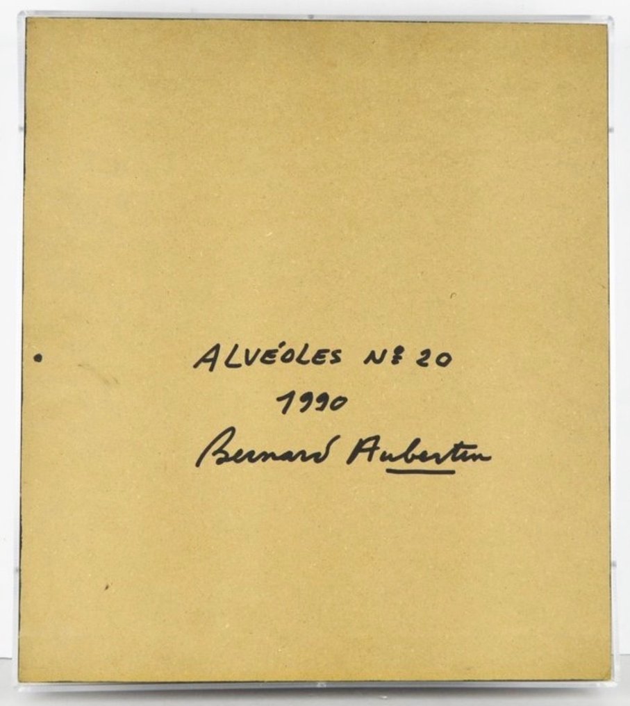 Bernard Aubertin (1934-2015) - Alvéoles N°20 #4.3
