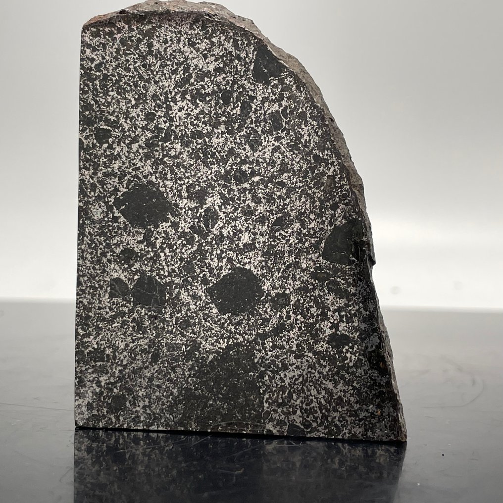 TANEZROUFT Meteorit 091 Mesosiderit Blad - 53 g #2.1
