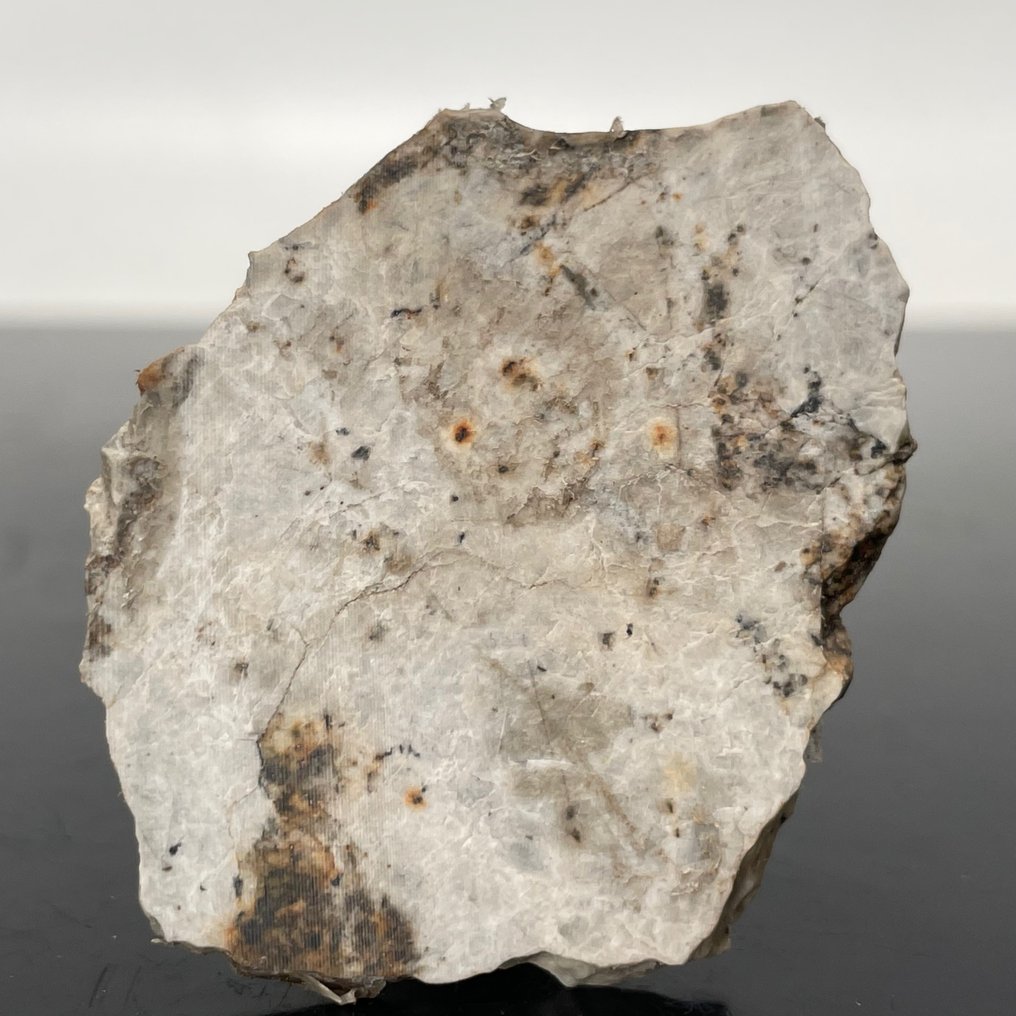 AUBRITE DJOUA 001, EXTREMELY RARE Meteorite Achondrite, - 10.5 g #2.1