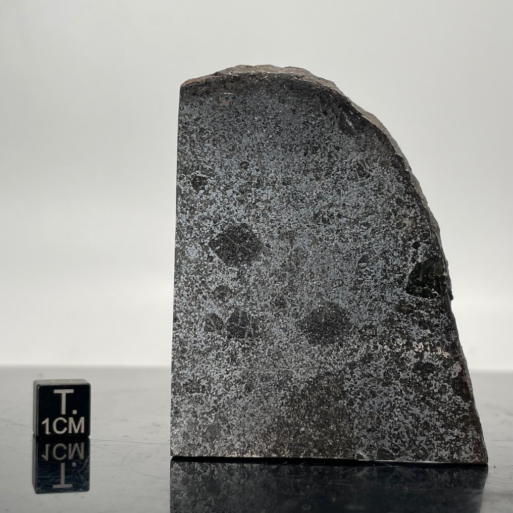 TANEZROUFT Meteorit 091 Mesosiderit Blad - 53 g #1.1