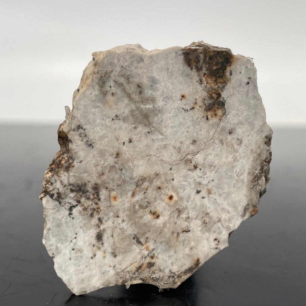 AUBRITE DJOUA 001, EXTREM SELTENER Meteorit Achondrit, - 10.5 g #1.2
