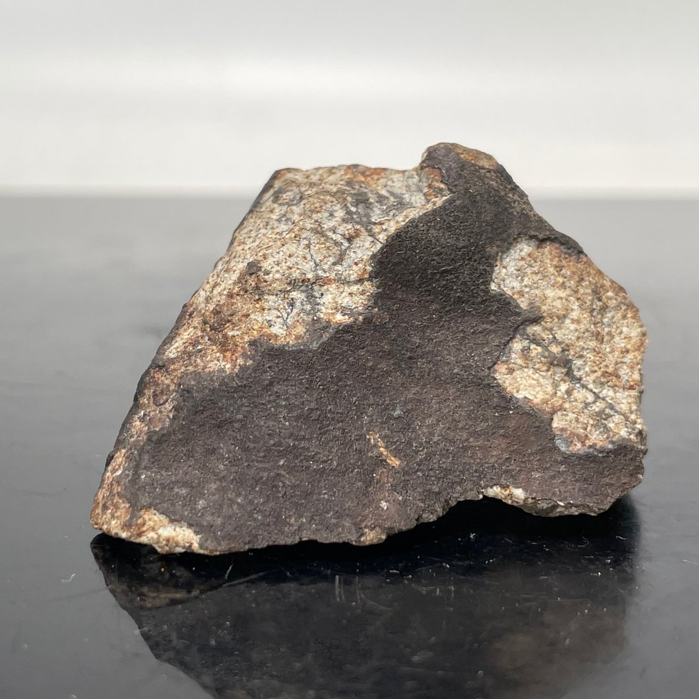 XXL VIÑALES meteorit, fúziós kéreggel. Fény orientáció, Regmaglyphs - 56 g #1.1