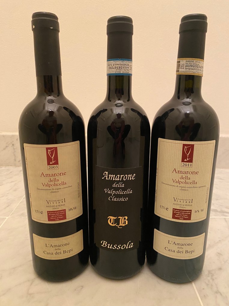 2003 & 2011 Viviani Casa dei Bepi & 2009 Tommaso Bussola TB - Amarone della Valpolicella - 3 Bottles (0.75L) #1.1