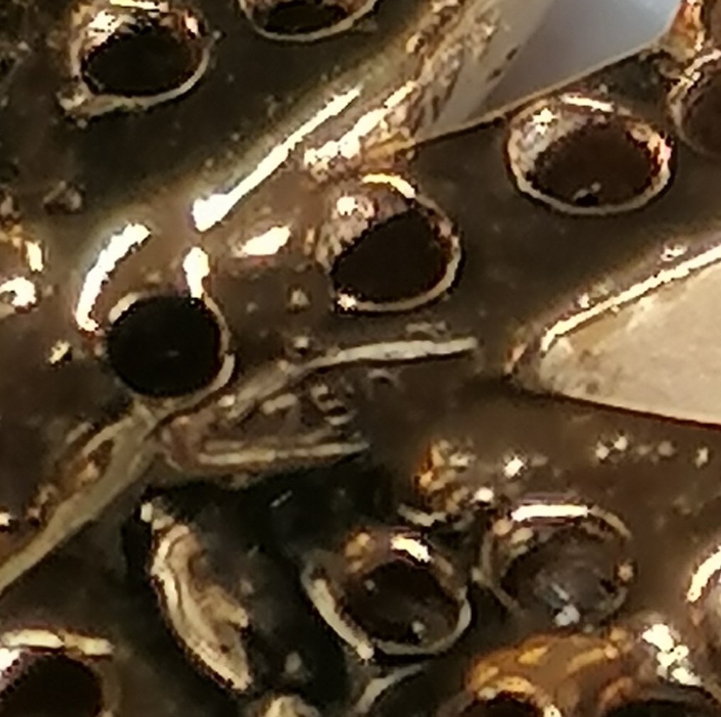 Καρφίτσα - 18 καράτια Κίτρινο χρυσό - 1.83ct. tw. Διαμάντι (Φυσικό) #3.2