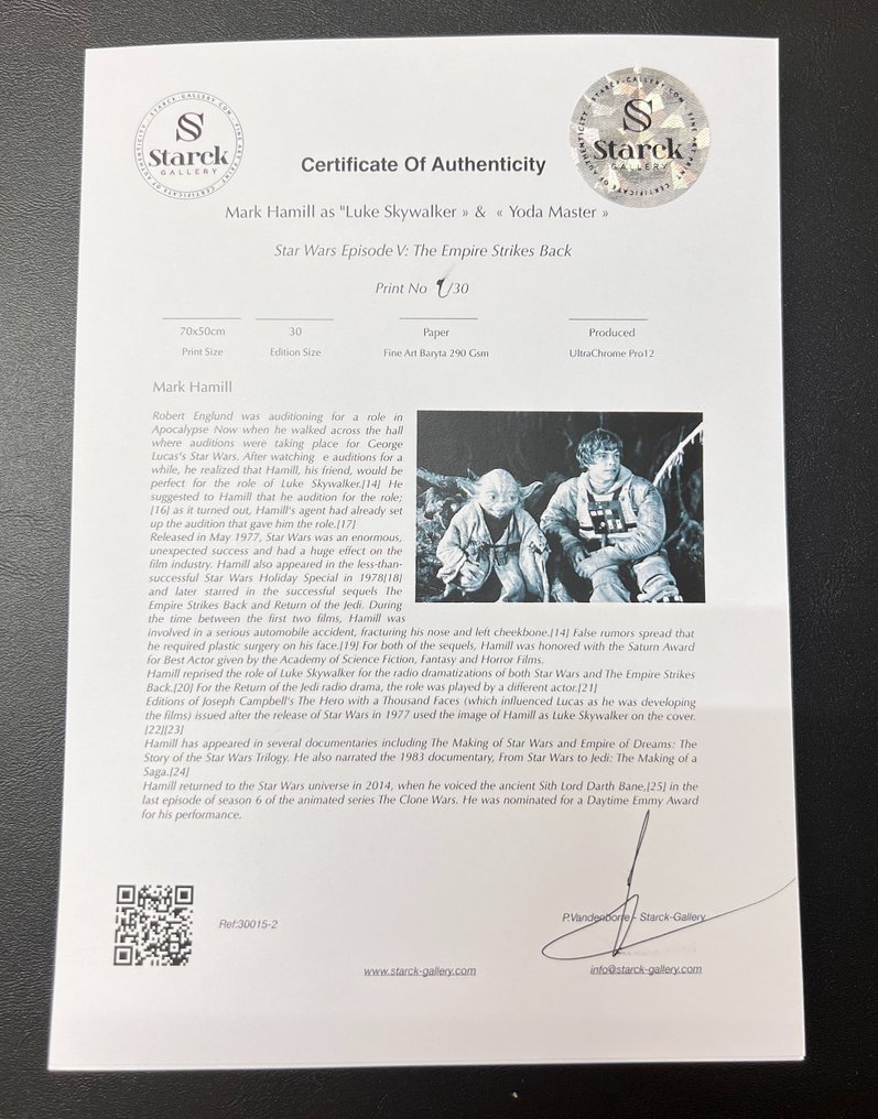 Star Wars Episode V: The Empire Strikes Back - Mark Hamill as "Luke Skywalker » & « Yoda Master » - Fine Art Photography - Luxury Wooden Framed 70X50 cm - Limited Edition Nr 01 of 30 - Serial ID - Original Certificate (COA), Hologram - 100% New. Shipping Reduction from 3 items #1.0