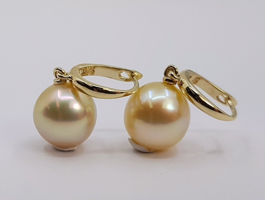 耳環 - 14 克拉 黃金 - 10x11毫米南海珍珠 #3.2