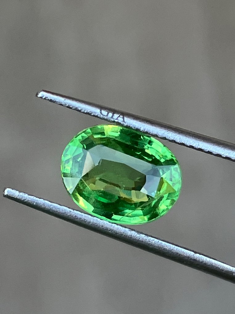 1 pcs  绿色 沙弗莱石  - 3.04 ct - 美国宝石研究院（GIA） #2.1