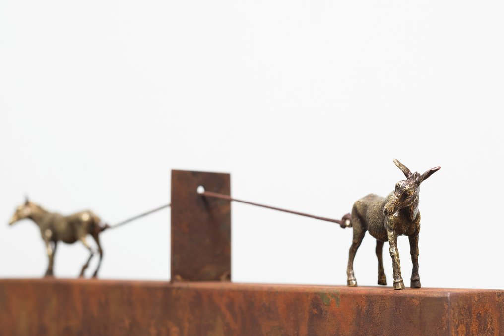 Burros (De libre interpretación) #1.0