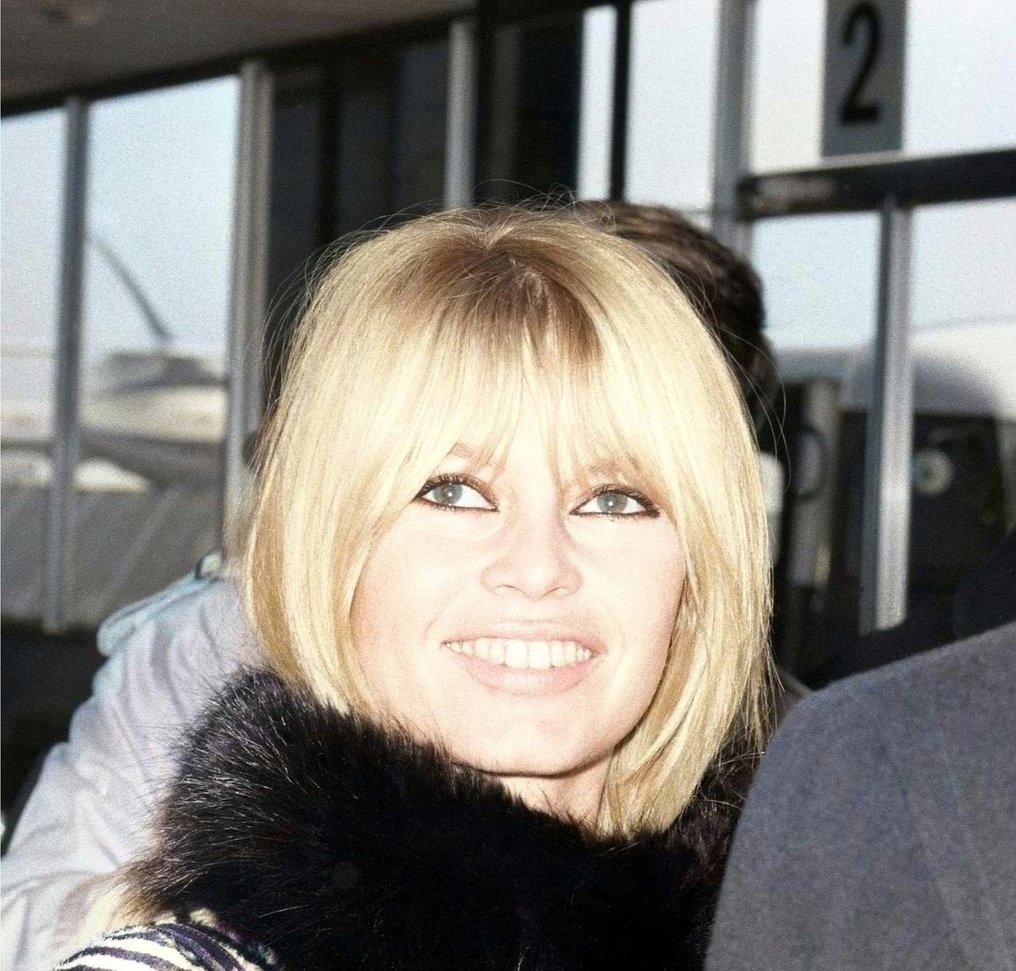 Daniel Cande - Brigitte Bardot #1.0