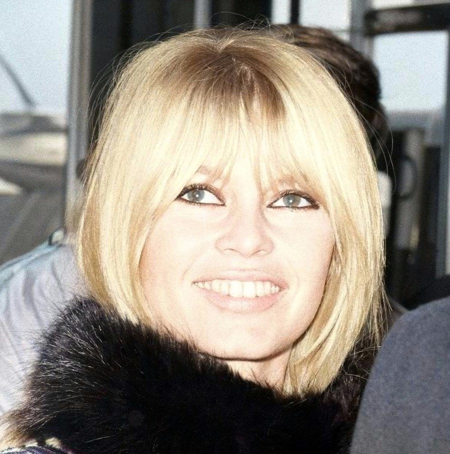 Daniel Cande - Brigitte Bardot #1.0