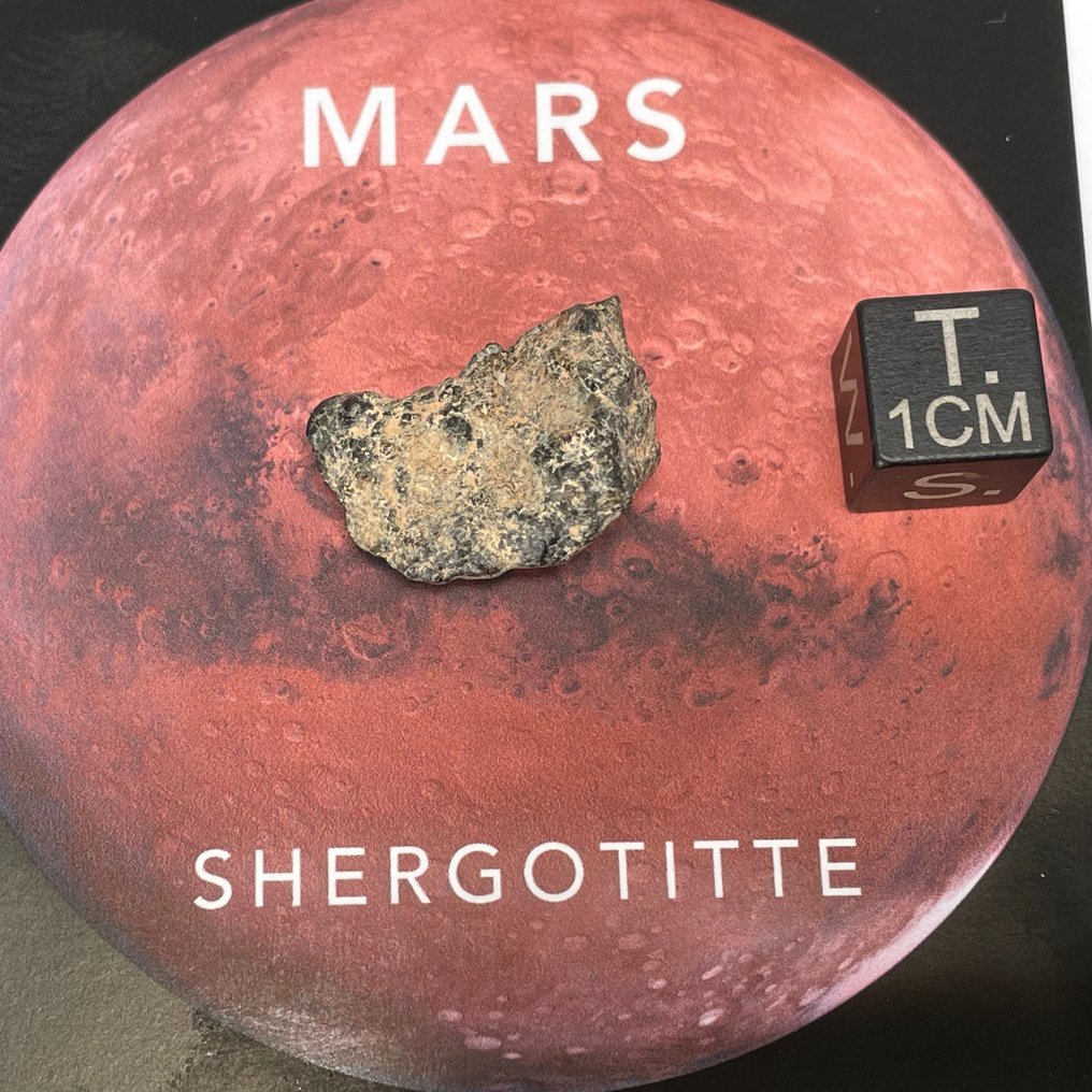 MARS ERG CHECH 012 NOUVELLE classification Shergottite Poikilitique Pièce météorite MARS - 2.54 g #1.1