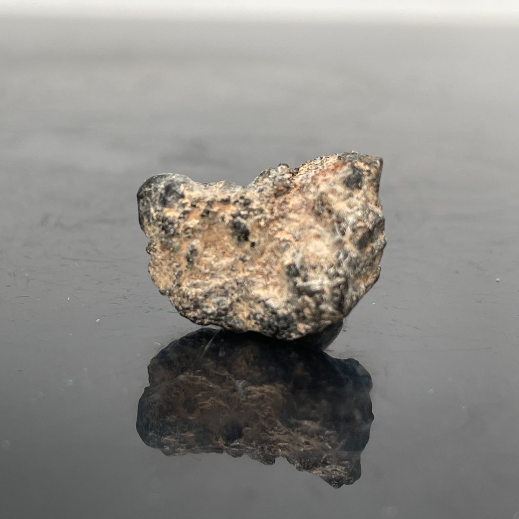 MARS ERG CHECH 012 NOUVELLE classification Shergottite Poikilitique Pièce météorite MARS - 2.54 g #1.2