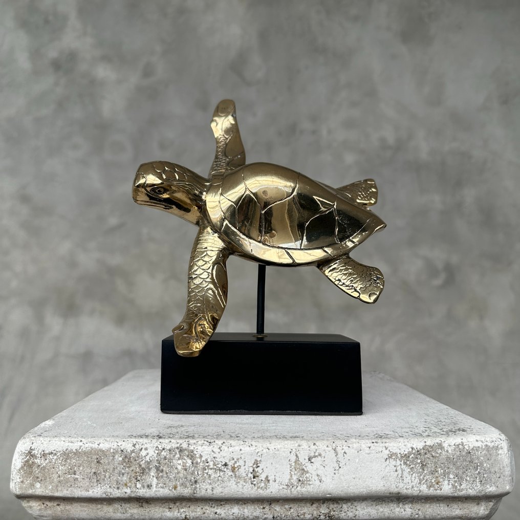 Escultura, NO RESERVE PRICE - Statue of a Bronze Polished Turtle on a Stand - 17 cm - Bronze #2.1