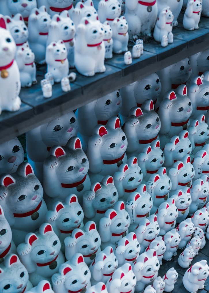 Dominik Valvo - Gotokuji Temple (Japan 2023) XL #1.0