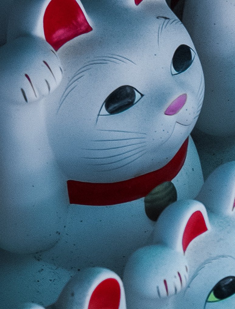 Dominik Valvo - Gotokuji Temple (Japan 2023) XL #2.1