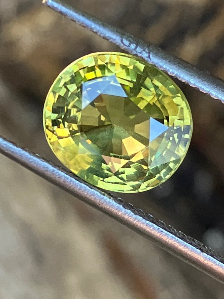1 pcs  紫翠玉  - 4.34 ct #1.0
