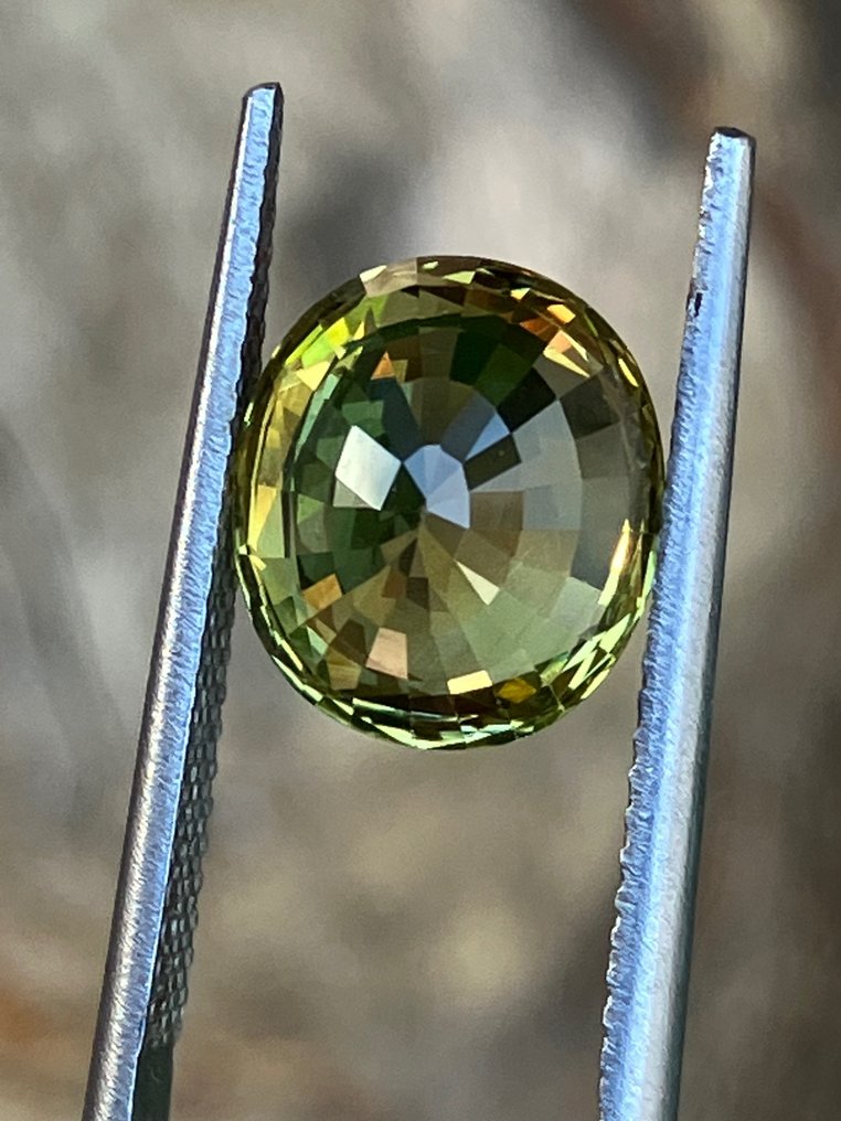 1 pcs  紫翠玉  - 4.34 ct #1.0