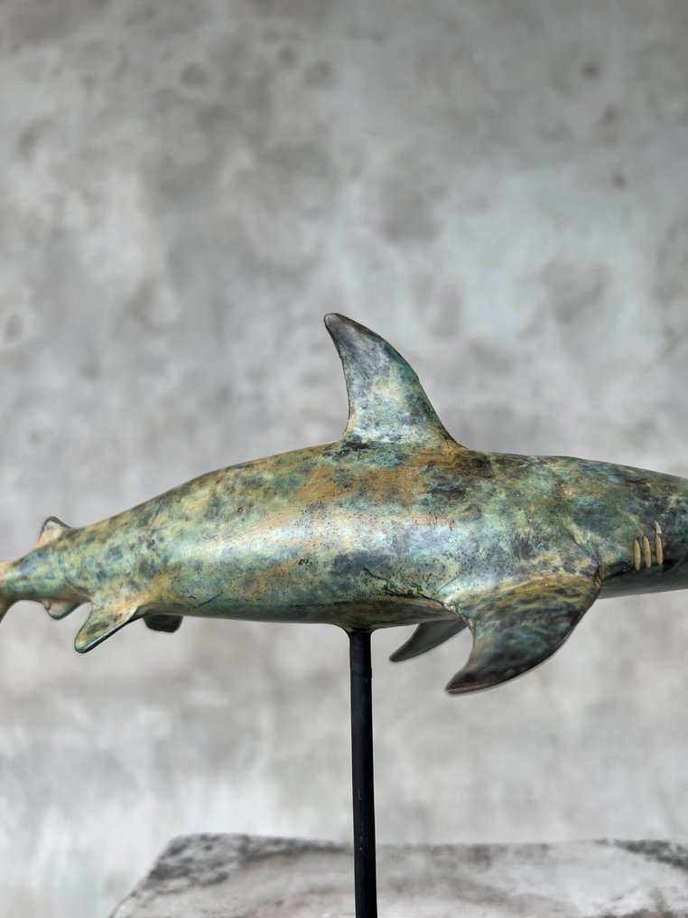 雕塑, NO RESERVE PRICE - Hammerhead Shark on a stand Bronze Patinated - 19 cm - 黄铜色 #4.3