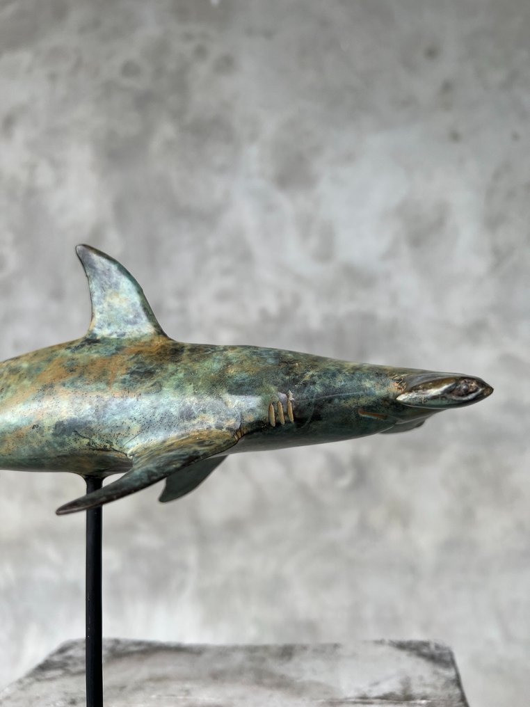 雕塑, NO RESERVE PRICE - Hammerhead Shark on a stand Bronze Patinated - 19 cm - 黄铜色 #3.2