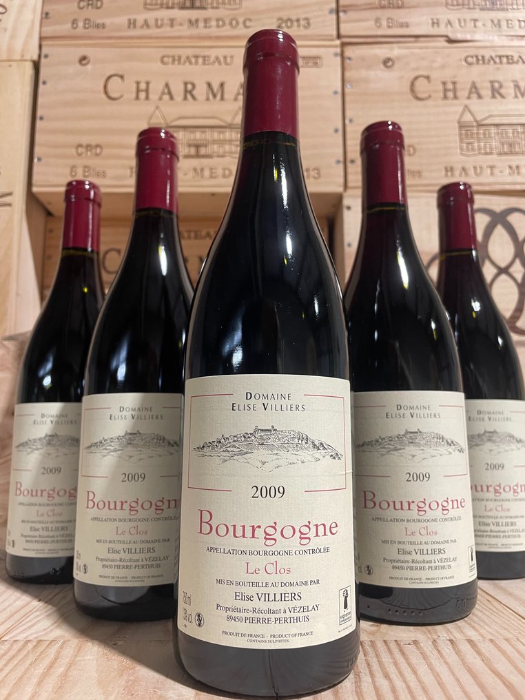 2009 Domaine Elise Villiers Bourgogne "Le Clos" - Bourgogne - 6 Flaskor (0,75L) #1.0