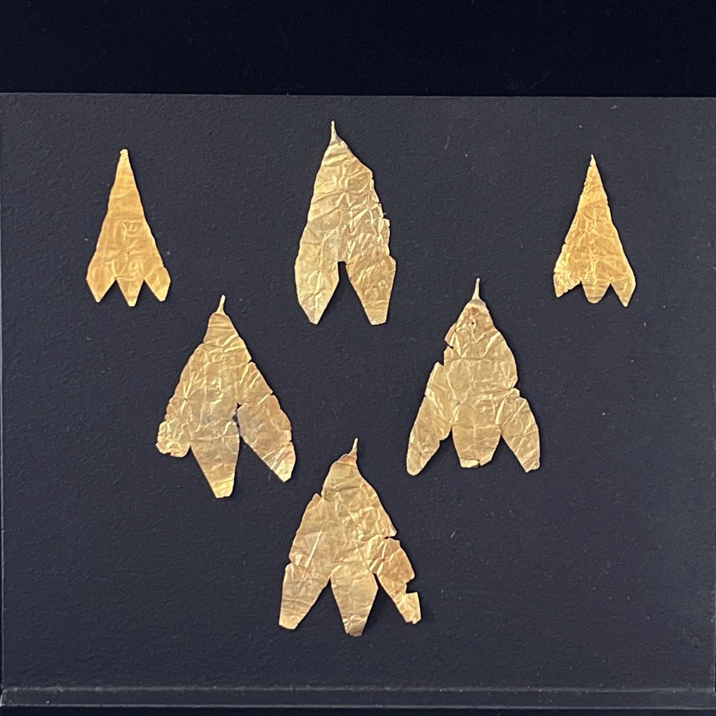 Aur Șase frunze de laur auriu - 5.6 cm #2.2