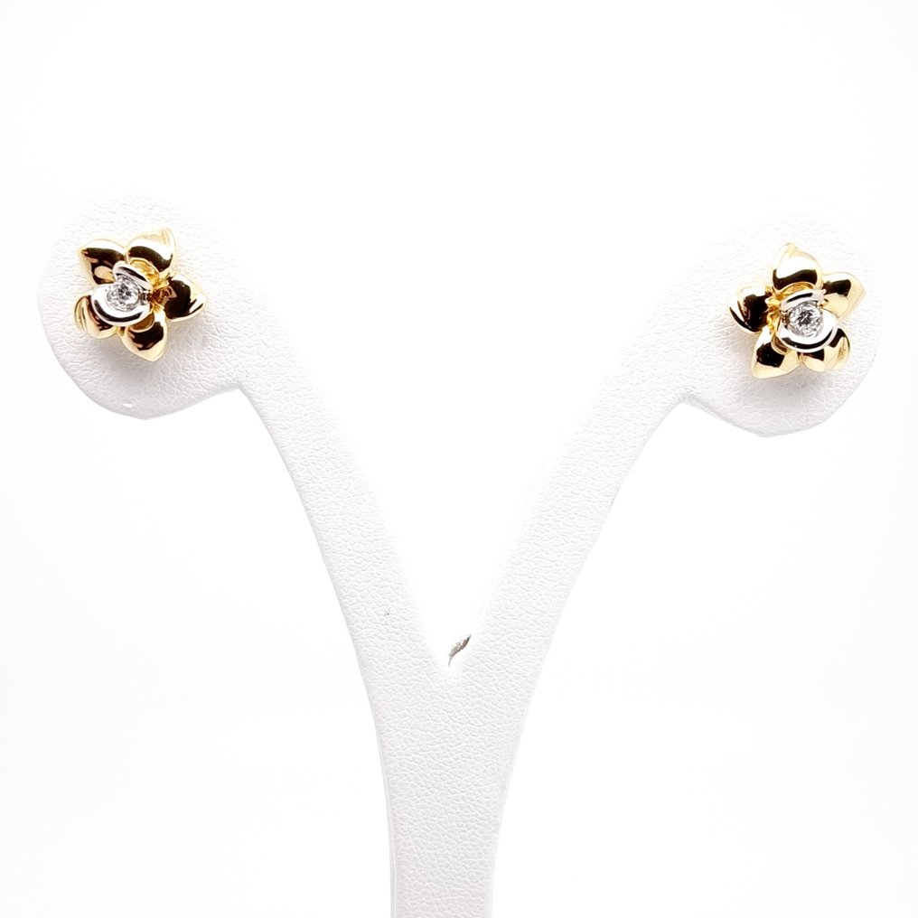Boucles d'oreilles Or blanc Diamant  (Naturelle) #1.1