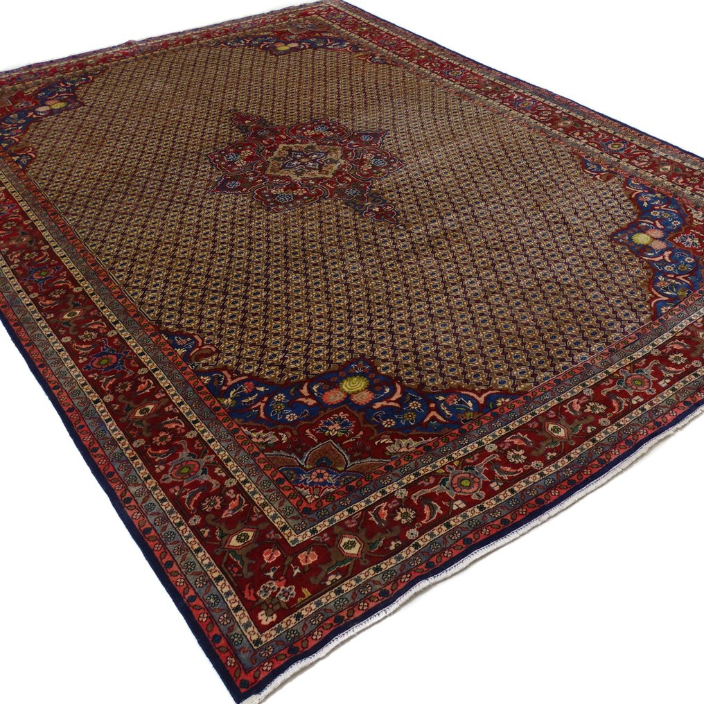 Koliai - 净化 - 小地毯 - 350 cm - 252 cm #3.2