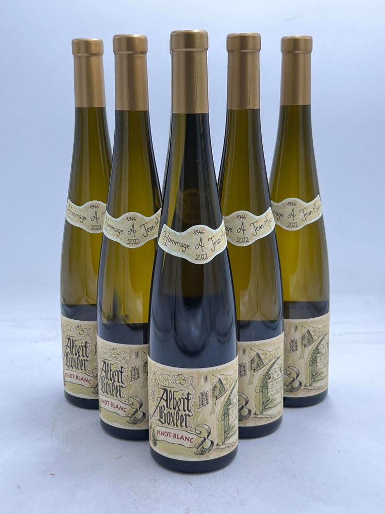 2022 Albert Boxler Pinot Blanc - 阿尔萨斯 - 6 Bottles (0.75L) #1.0