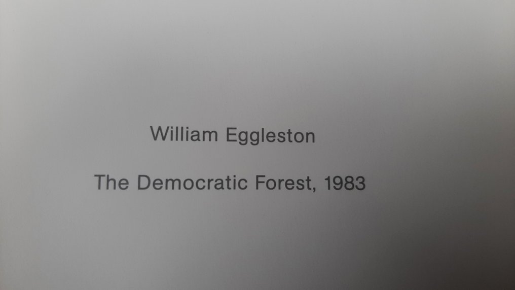 William Eggleston - The Democratic Forest, 1983 #3.2
