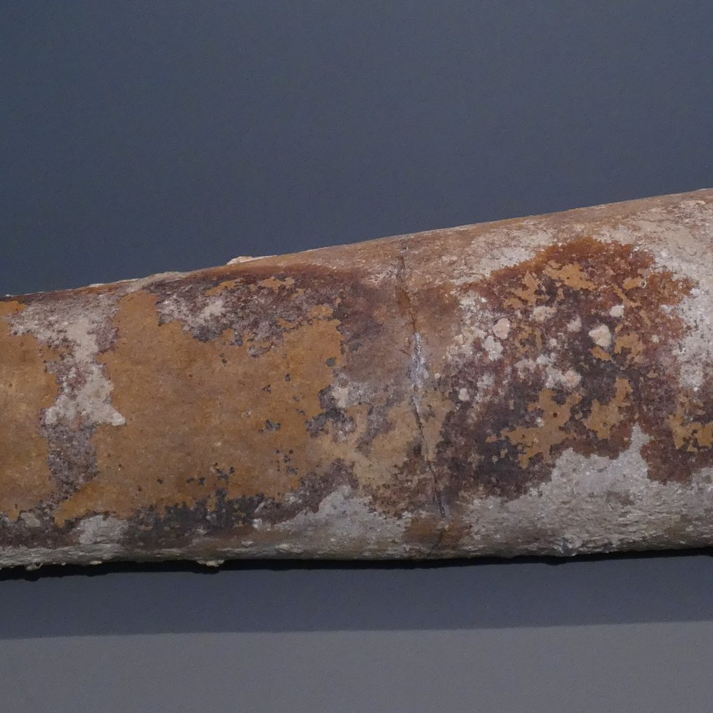 Tardo Romano/Primo Bizantino Terracotta Enorme anfora a fuso, tipo Spatheion. 72 centimetri di larghezza. IV-VII secolo d.C. #2.2