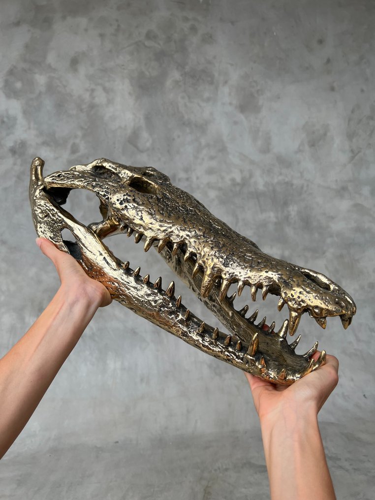 雕塑, Large Saltwater Crocodile Skull fashioned in bronze - Crocodylus Porosus - 19 cm - 黄铜色 #2.1