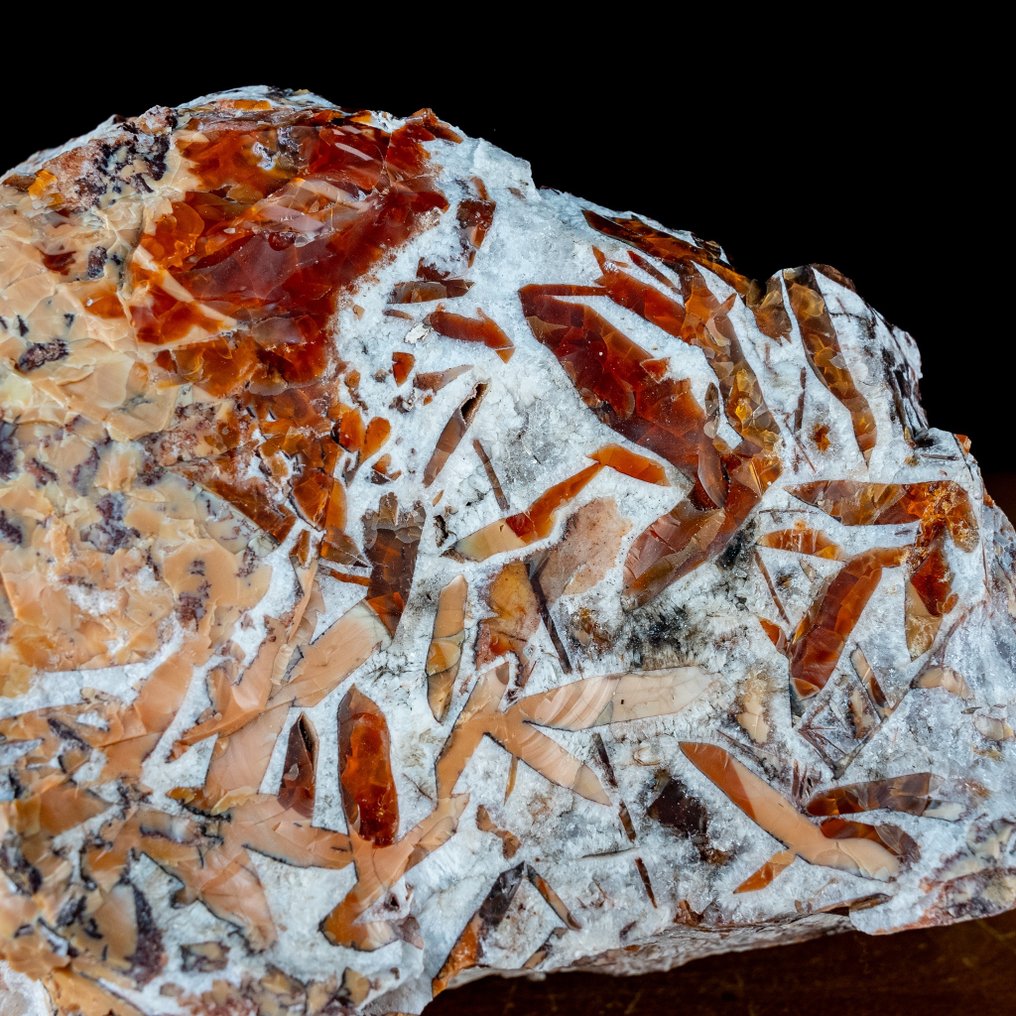 非常罕见的墨西哥火蛋白石 粗糙的- 6413.27 g #1.2