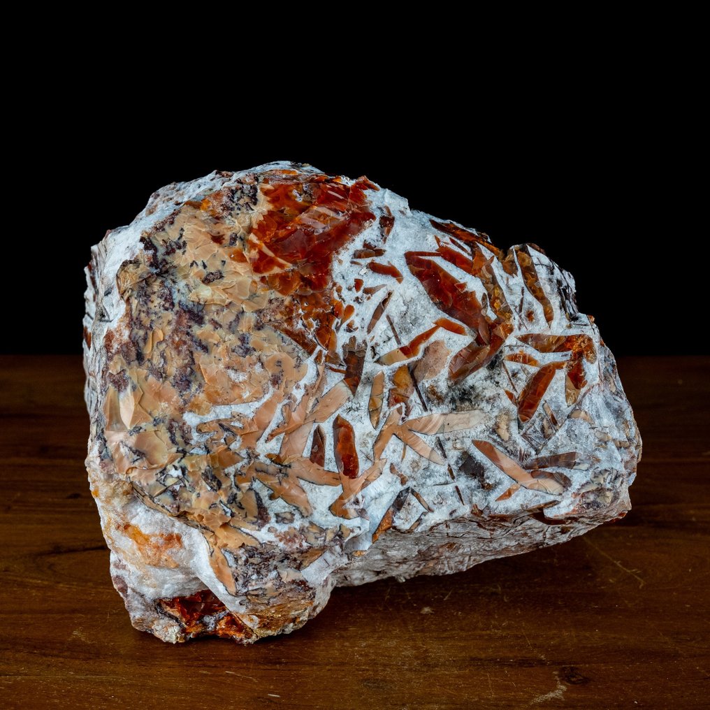非常罕见的墨西哥火蛋白石 粗糙的- 6413.27 g #1.1