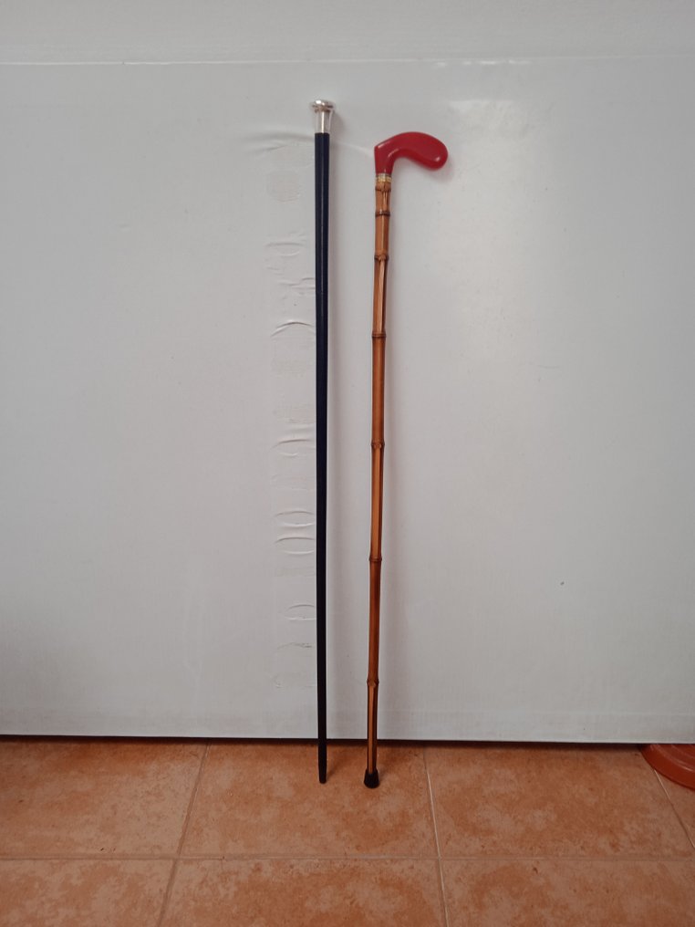 手杖  (2) - 银、贵木、竹 #2.1