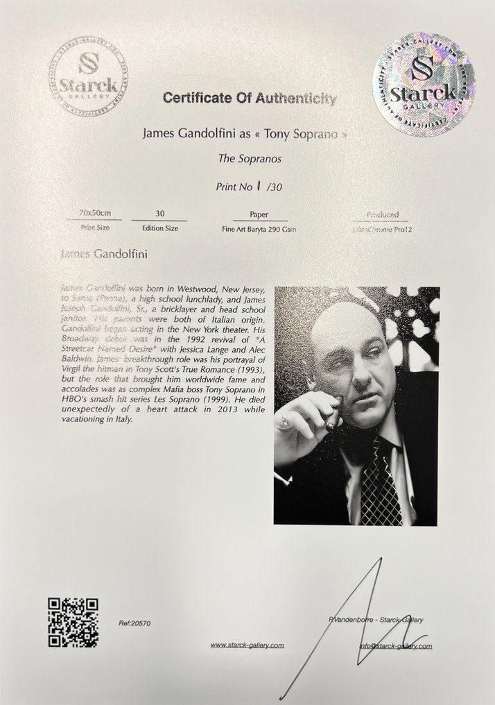 James Gandolfini as « Tony Soprano » - Fine Art Photography - Luxury Wooden Framed 70X50 cm - Limited Edition Nr 03 of 30 - Serial ID 20970 - Original Certificate (COA), Hologram - 100% New. Shipping Reduction from 3 items #1.0