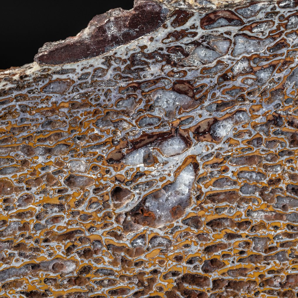 fantastic Gembone - mineralized dinosaur bone - Fossil bone - Dinosauria - 18.5 cm - 11.5 cm #2.1